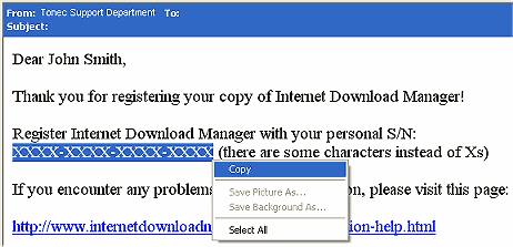 Copy Internet Download Manager serial number