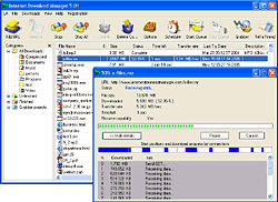 Main IDM dialog screenshot