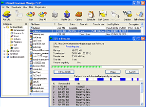 Internet Download Manager screenshot 300