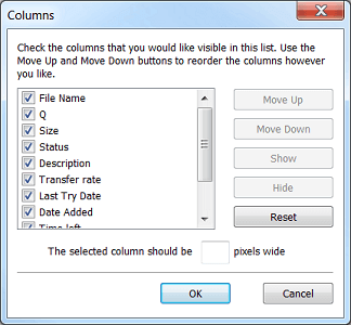 Select columns to be shown in IDM download list in main dialog